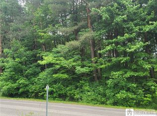 0 Eldredge Rd #25, Cattaraugus, NY 14719