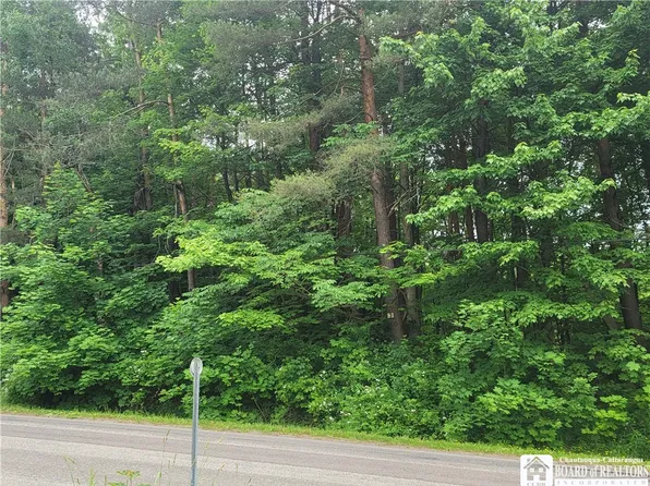 0 Eldredge Rd #25, Cattaraugus, NY 14719