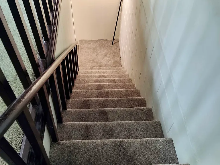 Steps down to basement have new carpet