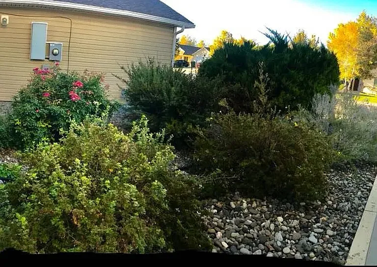 2823 Village Park Dr — Photo 3