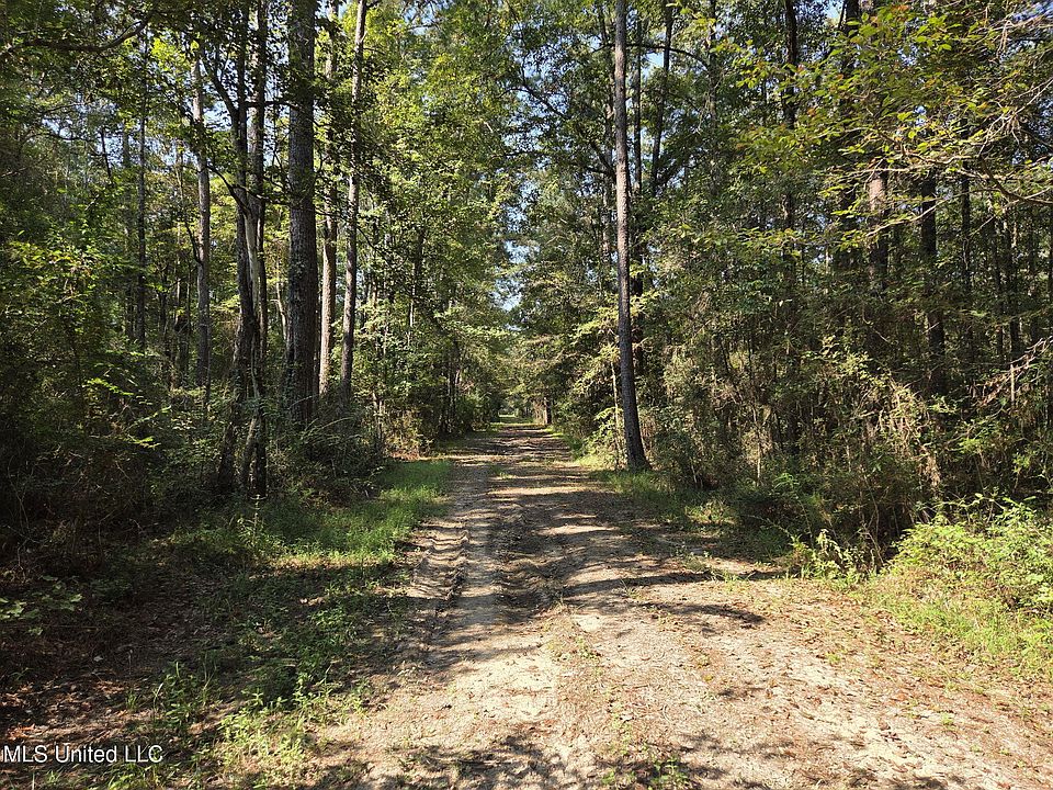 2nd image of Homer Ladner Rd