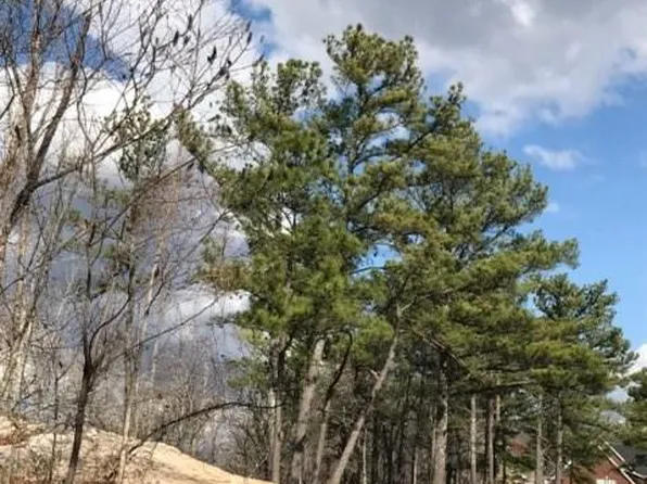 1356 Scenic Dr, Gadsden, AL 35904