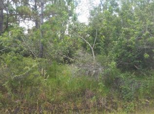 748 American St NW, Lake Placid, FL 33852