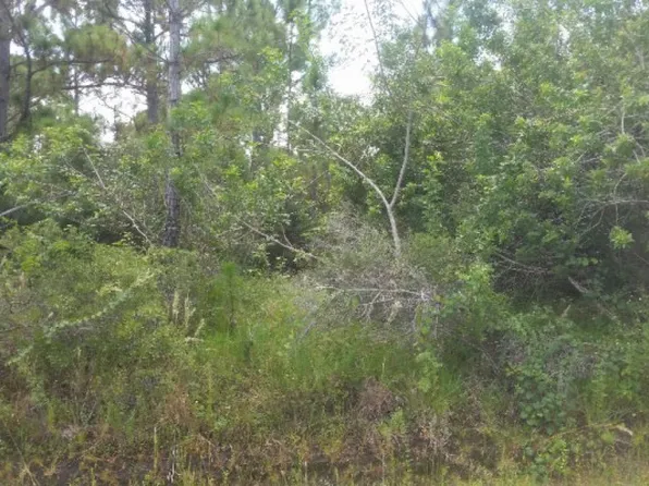 748 American St NW, Lake Placid, FL 33852