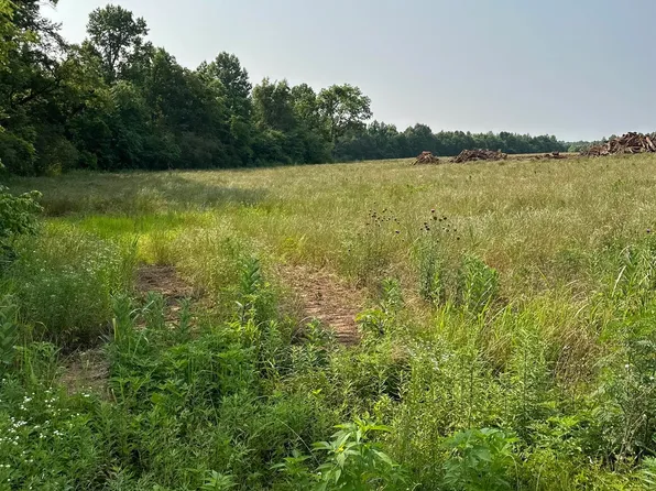 TRACT 25 Hays Mill Rd, Elkmont, AL 35620