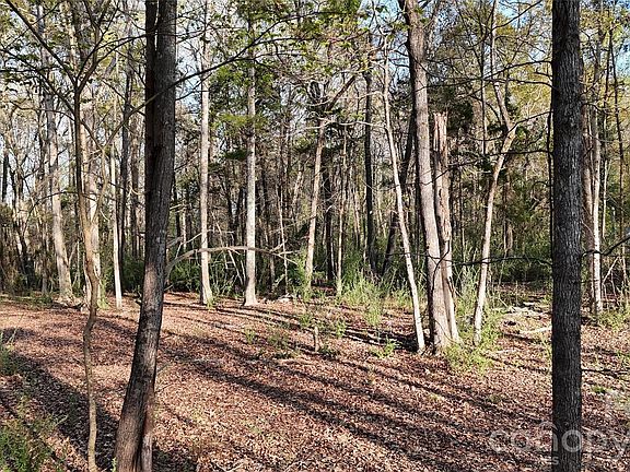 4th image of 1099 Twin Lakes Rd