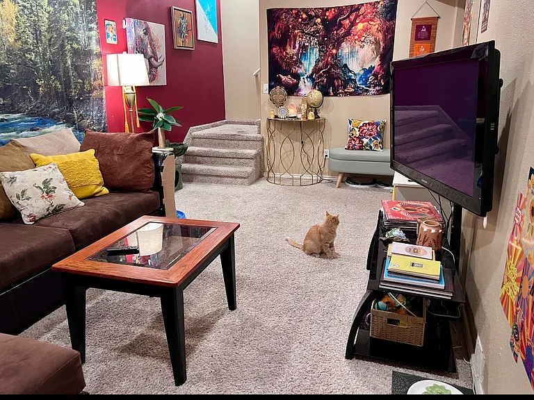 Basement Living Room *it now has LVP as seen in the other pictures __