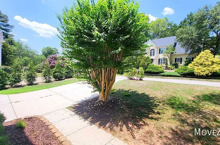 203 Rose Valley Woods Dr — Photo 26