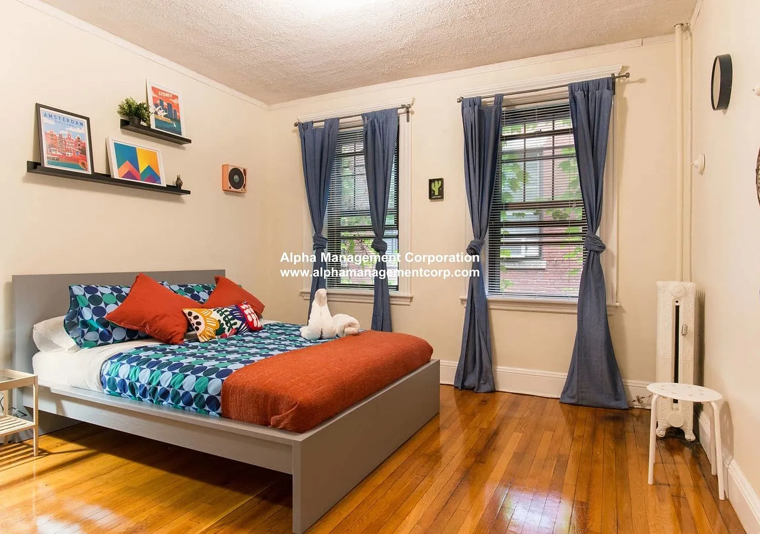 Amazing Coolidge Corner Apt right by T, Shopping, Nightlife and Restaurants. Quick commute to BU! — Photo 3