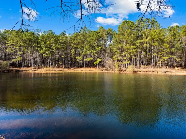 TRACT Two 877 McKee Rd, Waverly Hall, GA 31831