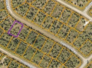 16 Capernicus Rd, North Pt, FL 34286