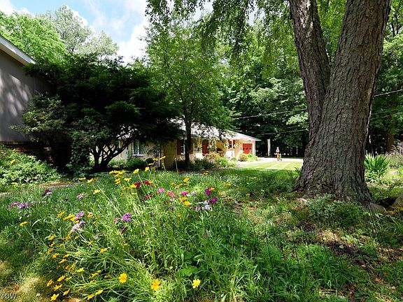 3rd image of 834 Haywood Dr