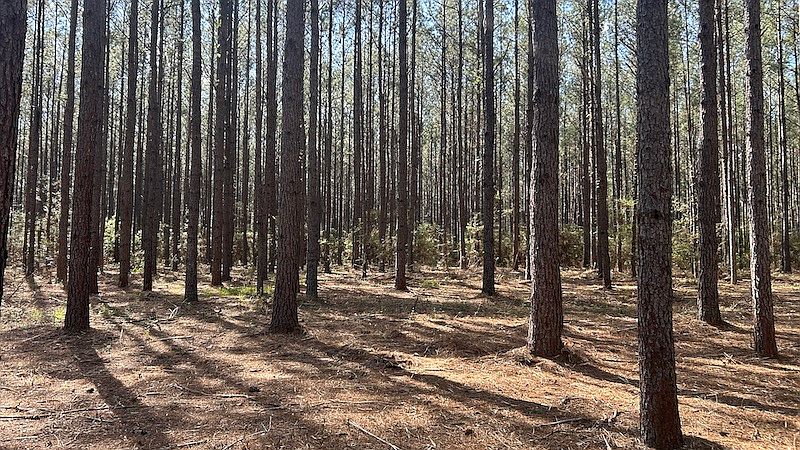 1st image of NULLT Grimes Rd