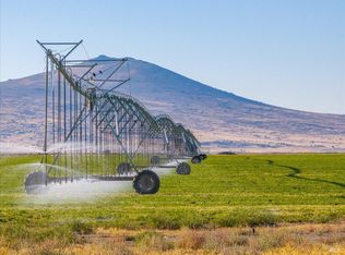 650 Tuledad Rd, Ravendale, CA 96123