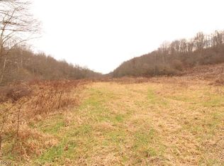 Toker Rd, Hopedale, OH 43976