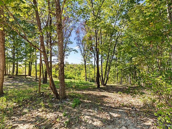 2nd image of 0 County Road 574