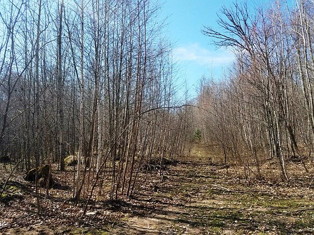1st image of Lot 3 Jaybird Trail
