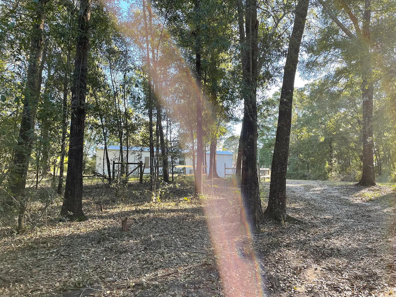 3 bed, $1,200 — Photo 3