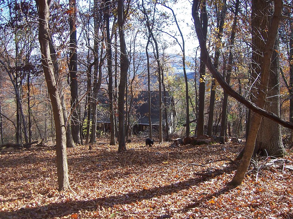 2nd image of 13245 Sagle Rd