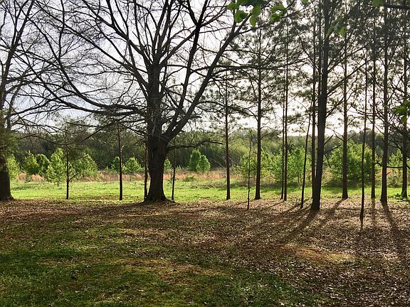 Private back yard
