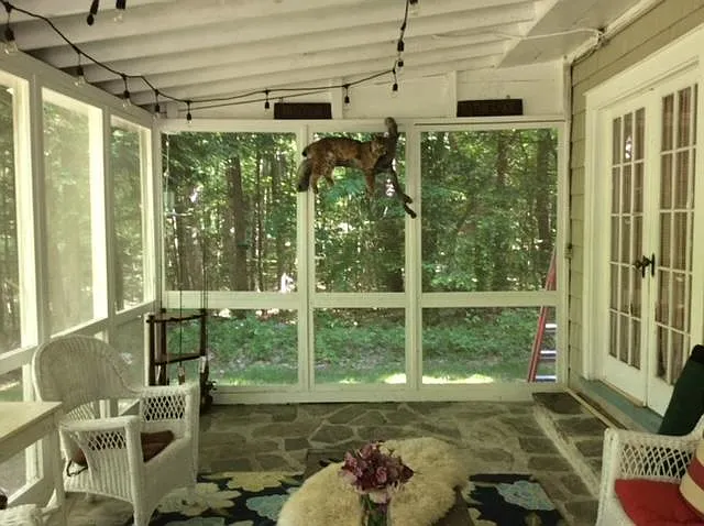 4504 Lakeshore Dr — Photo 5