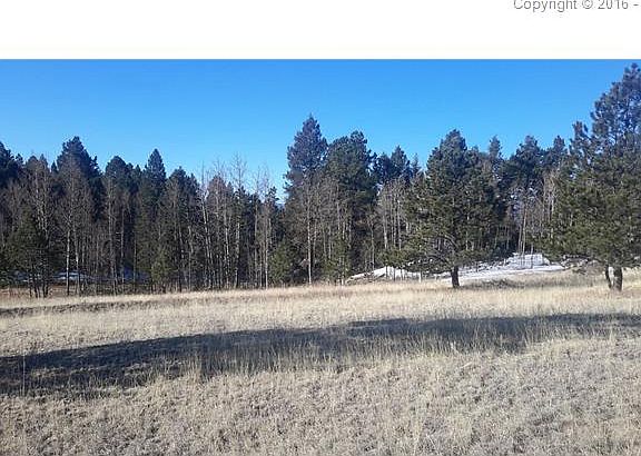 4th image of 713 Gold Creek Dr