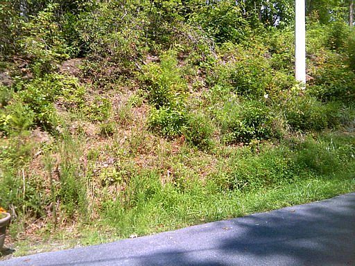5th image of Greenbriar Ln