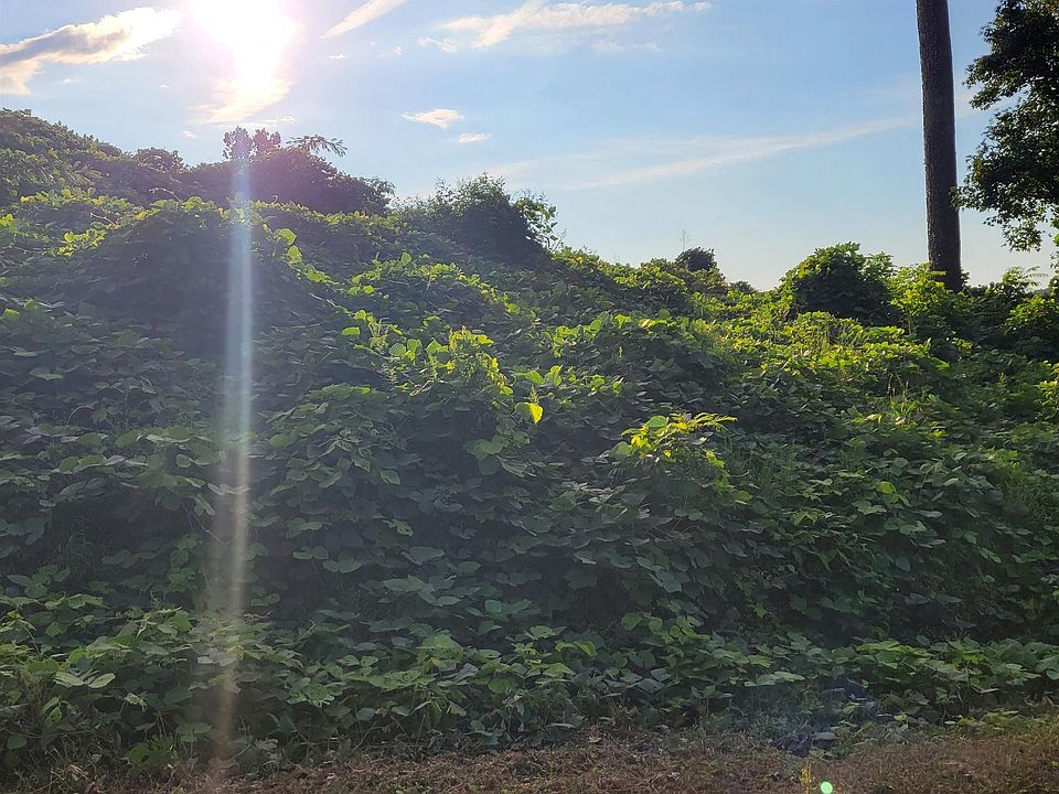 2366 Fulton Dr 23, Fultondale, AL 35068 Zillow