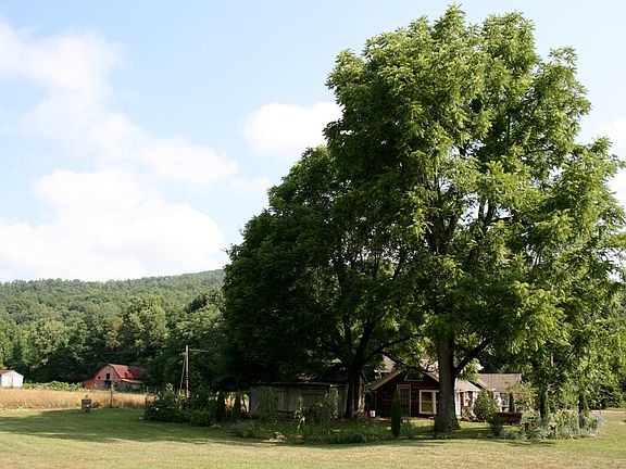5th image of 6212 Hills Creek Rd