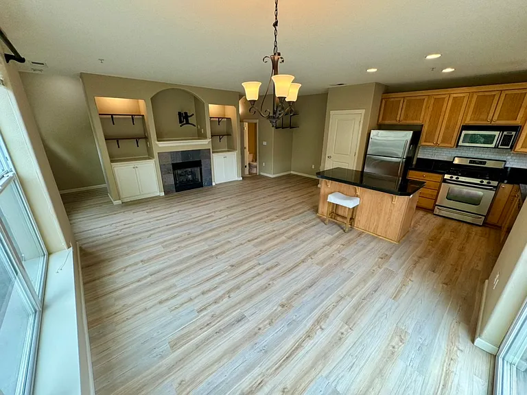 Dining room / living room / kitchen