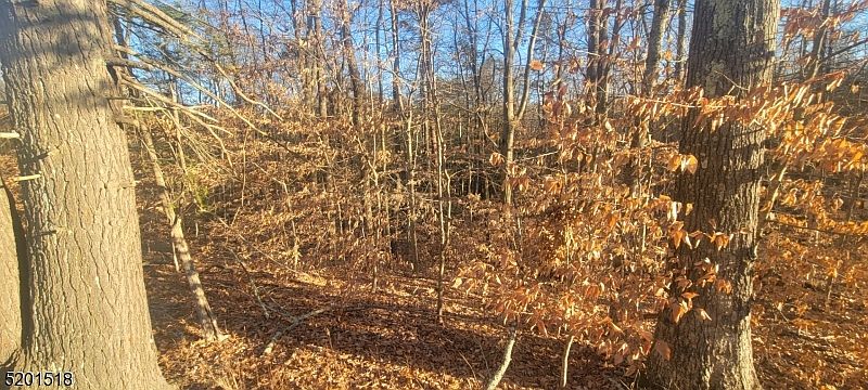 2nd image of 291 New Rd
