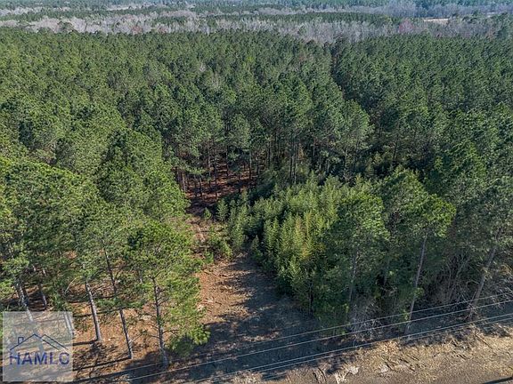 3rd image of 1 Ben Giddens Rd