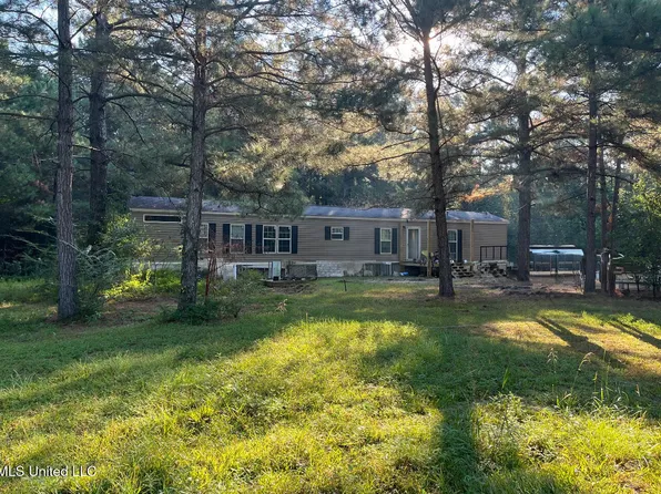 40 Lizie Ln, Mount Olive, MS 39119