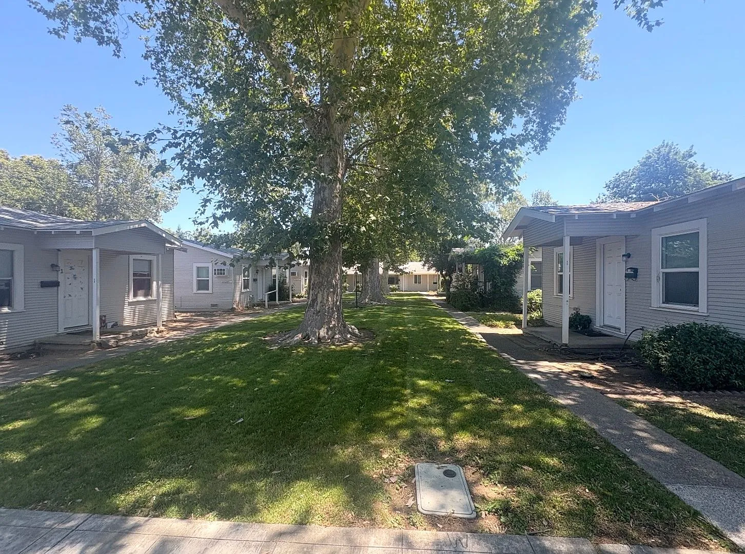 125coll — Photo 1