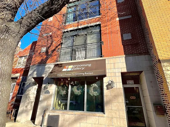 911 N Damen Ave Unit 2, Chicago, IL 60622