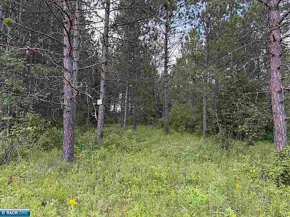 2nd image of 4788 Town Rd #164