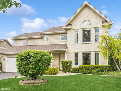 805 Horatio Blvd, Buffalo Grove, IL, 60089