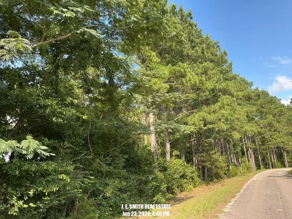 62 County Road 3125, Rose Hill, MS 39356