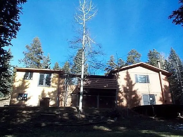 23391 Black Bear Trl, Conifer, CO 80433
