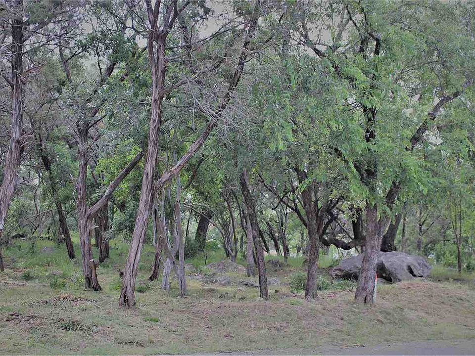 2nd image of TBD Pecan Lane