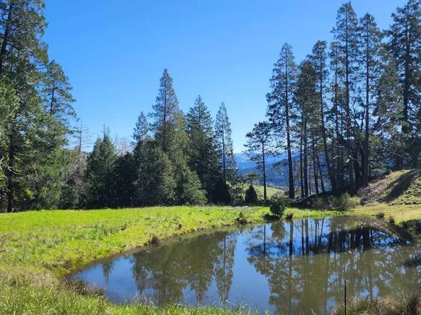 Salmon Creek Rd, Miranda, CA 95553