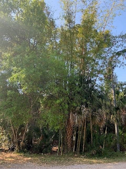 2nd image of 835 Hollowood Cir