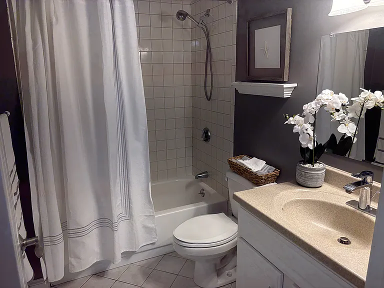 Hallway Bathroom