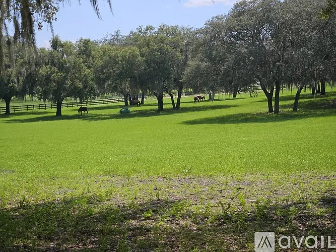 2 bed, 675 sqft, $1,050 — Photo 2