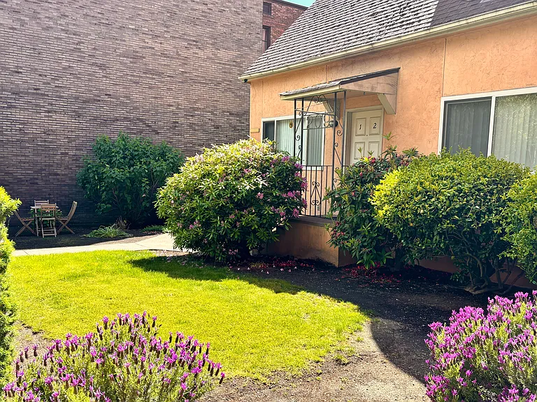 Front yard and lawn
