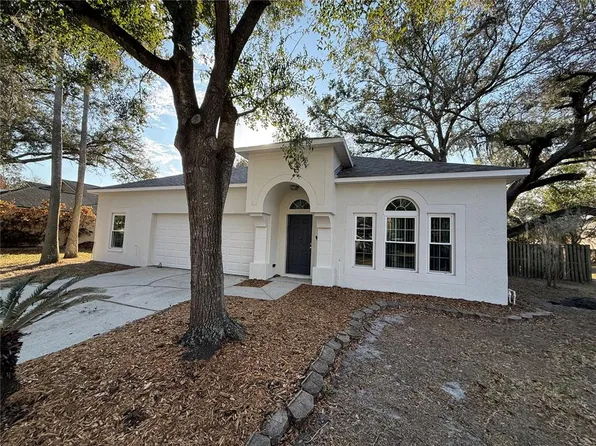 5901 Erhardt Dr, Riverview, FL 33578