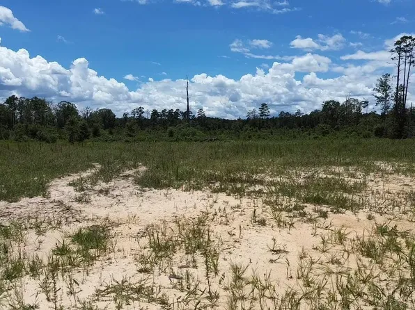 TRACT One B Teal McDaniel Rd, Independence, LA 70443