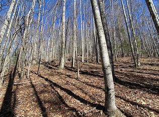 45 Bens Pl, Laurel Springs, NC 28644