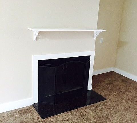 Wood burning fireplace