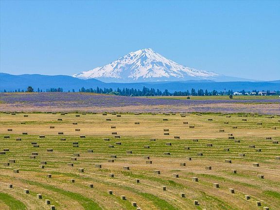 2nd image of 540-775 Pittville Rd